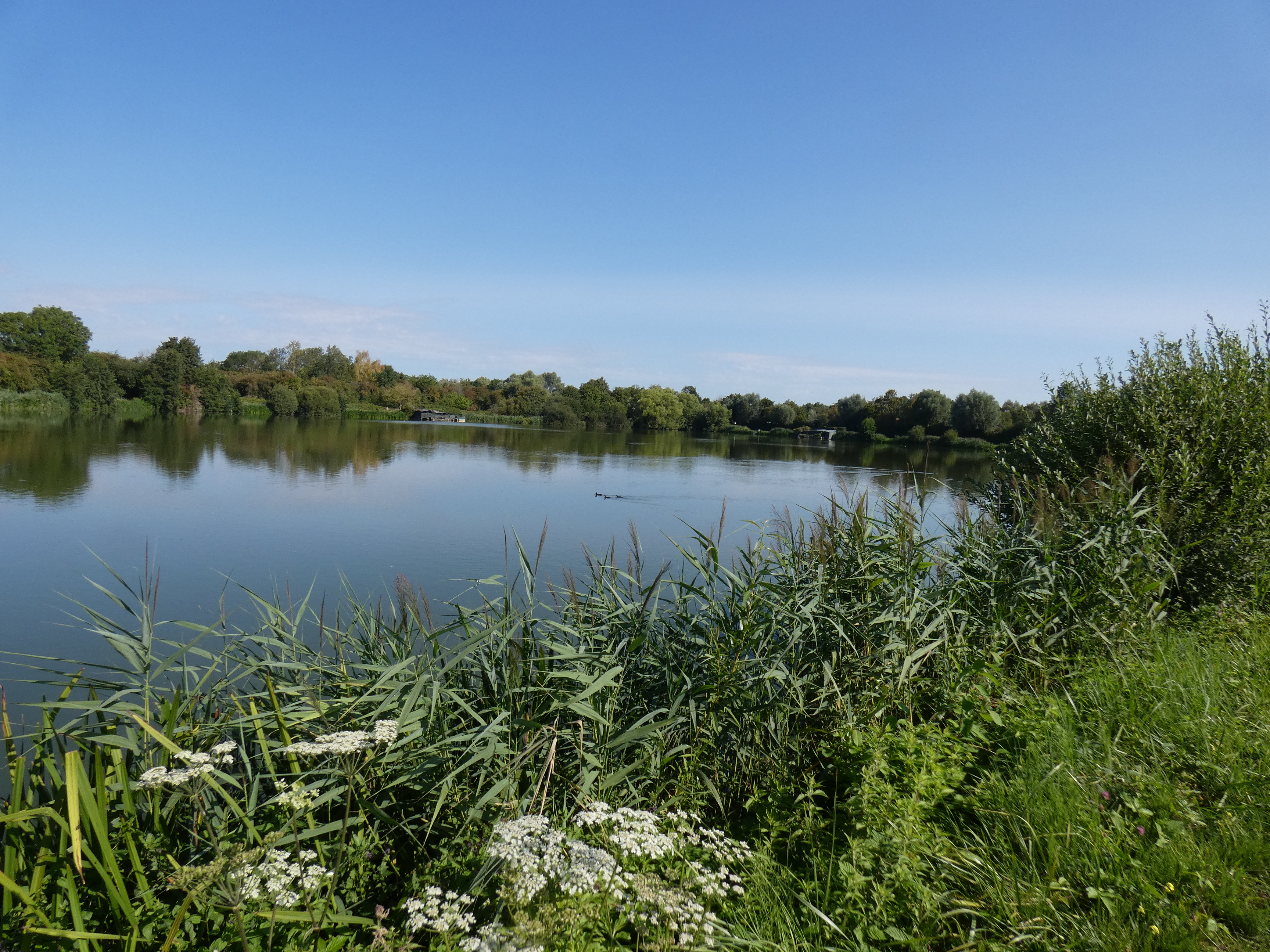 Image 24