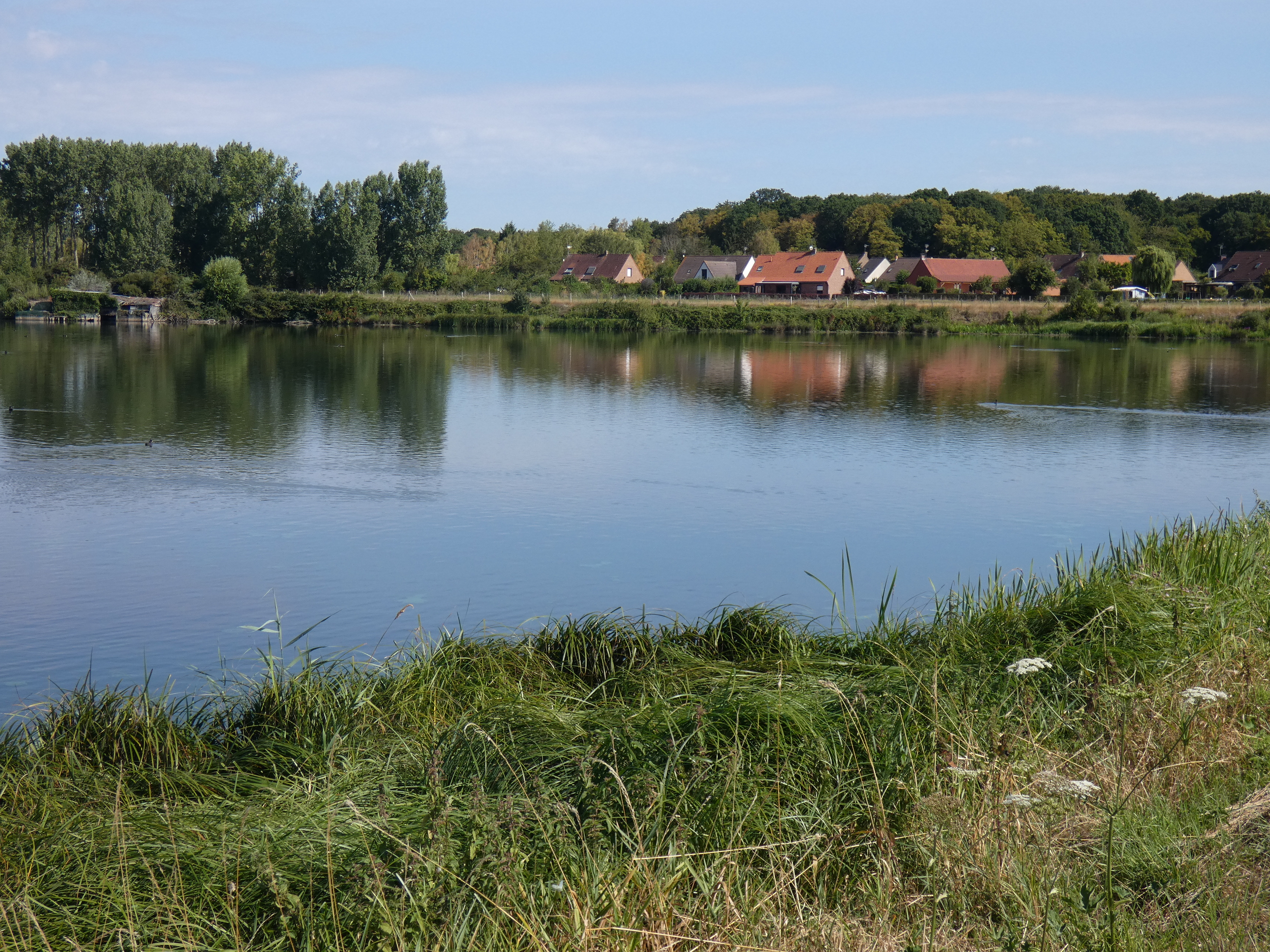 Image 11