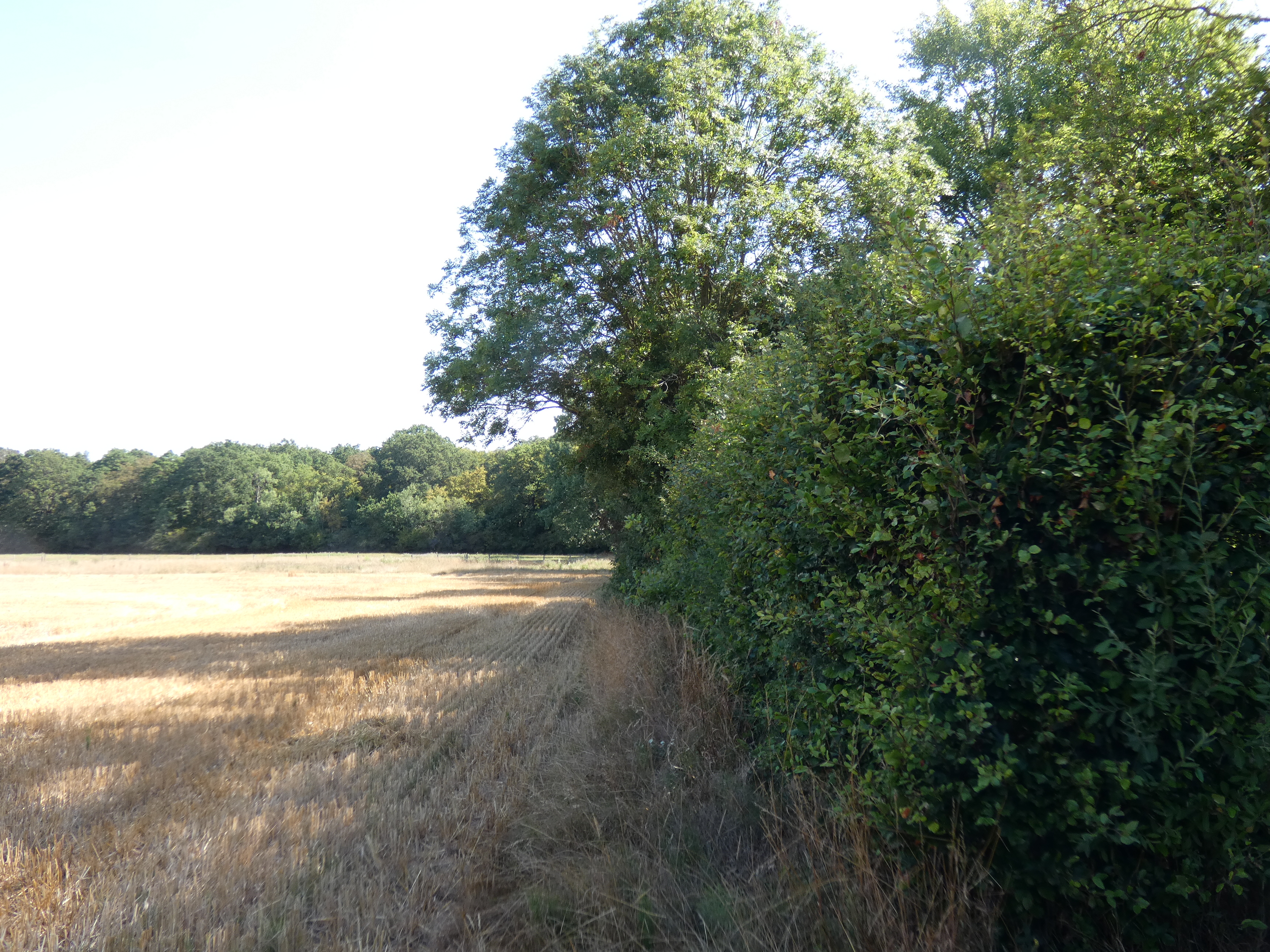 Image 269