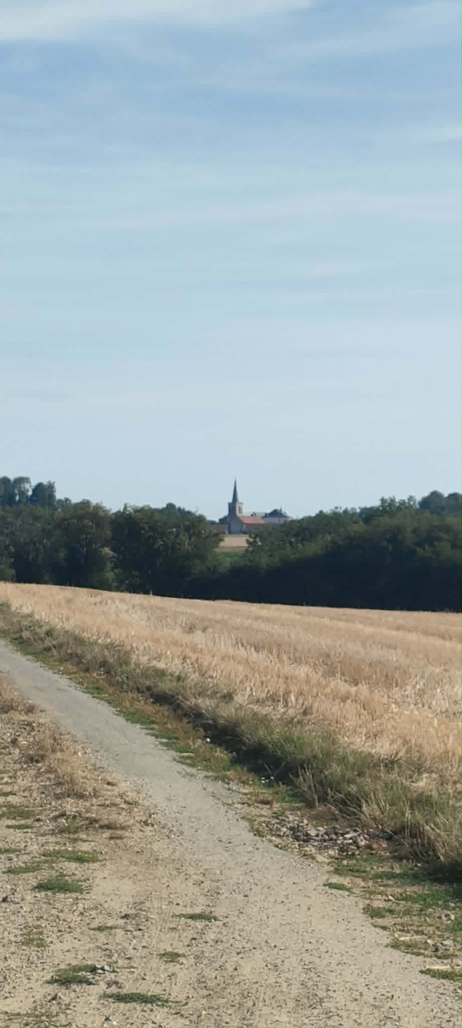 Image 257