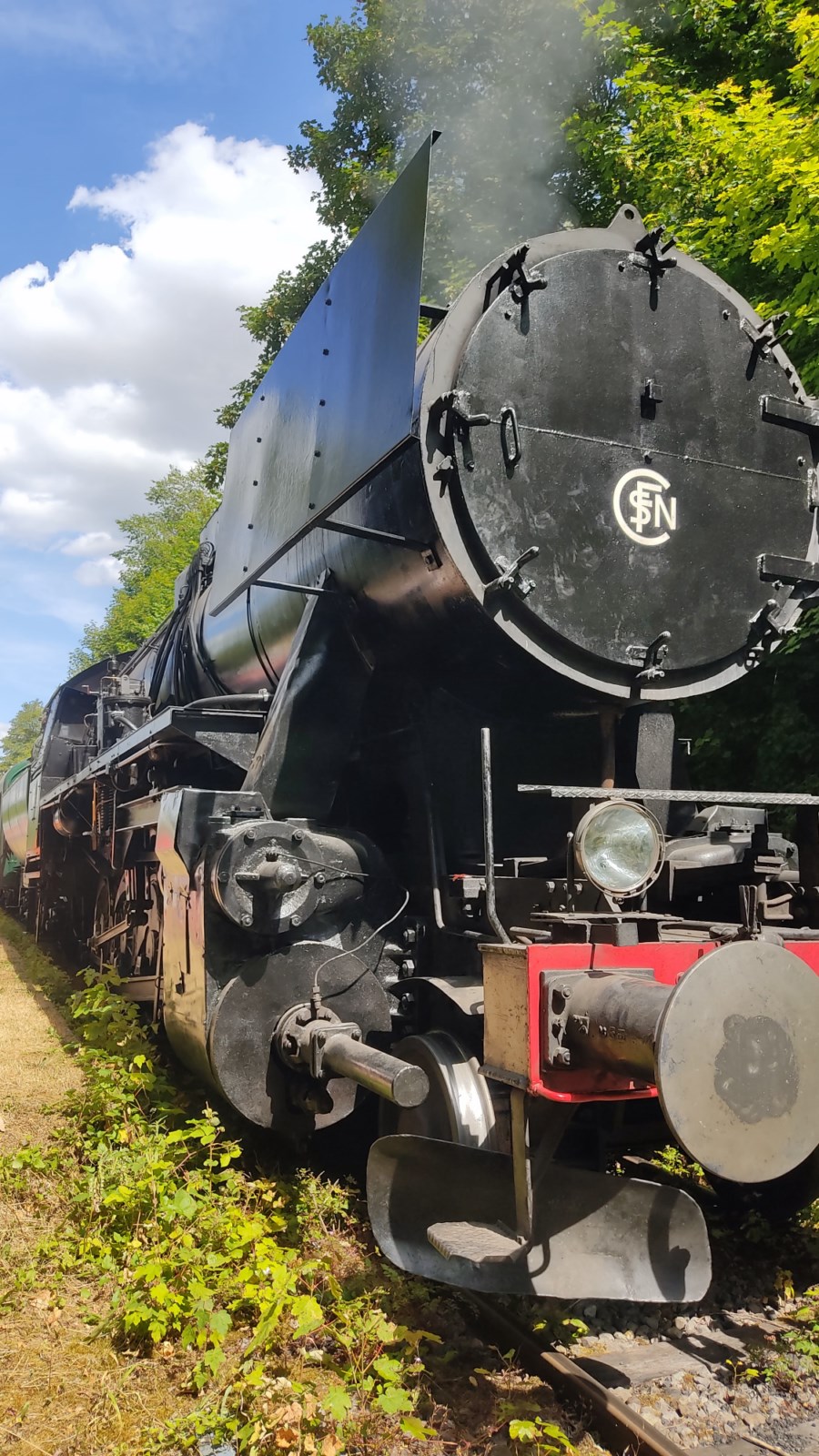 Image 238