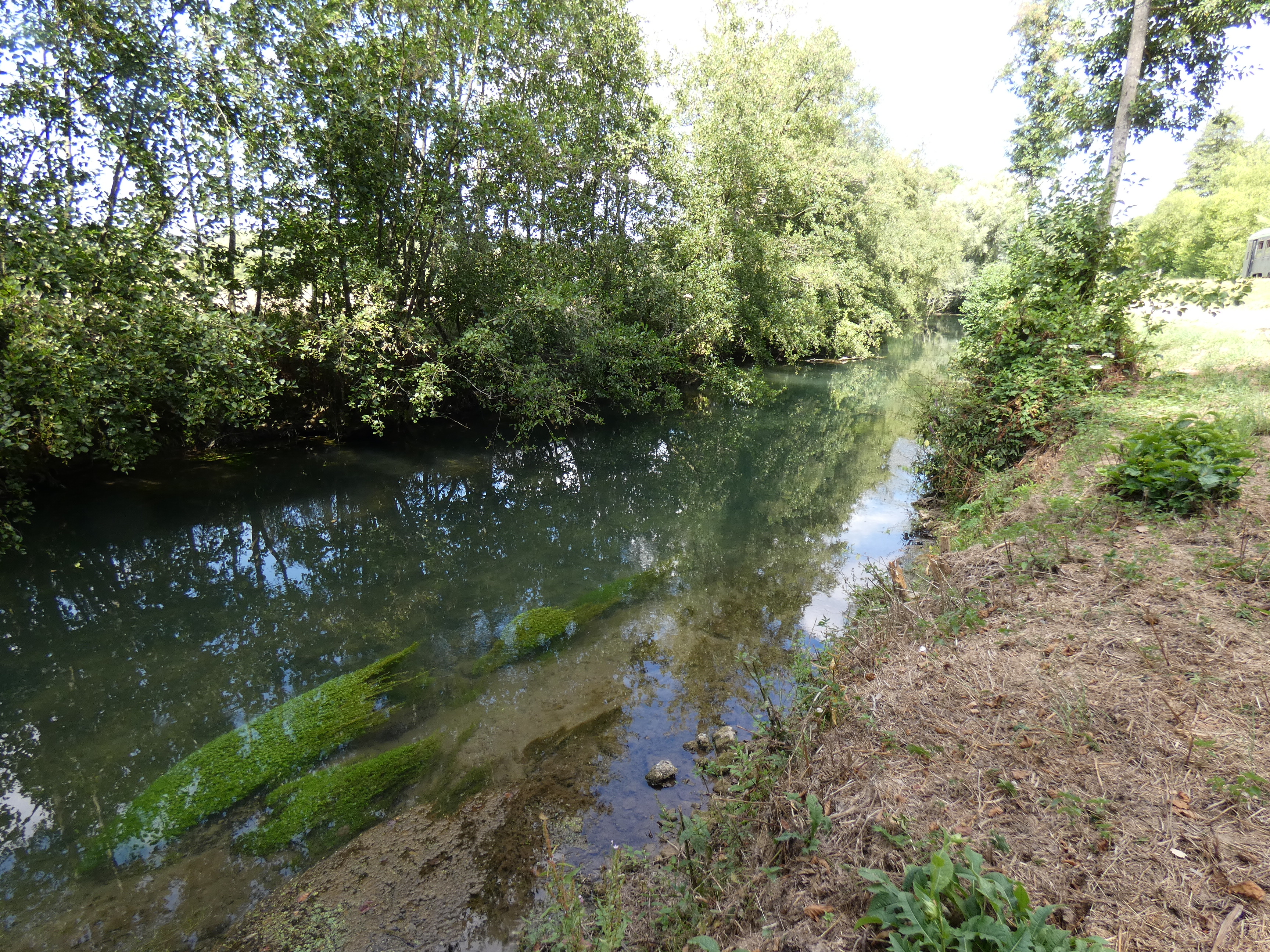 Image 152