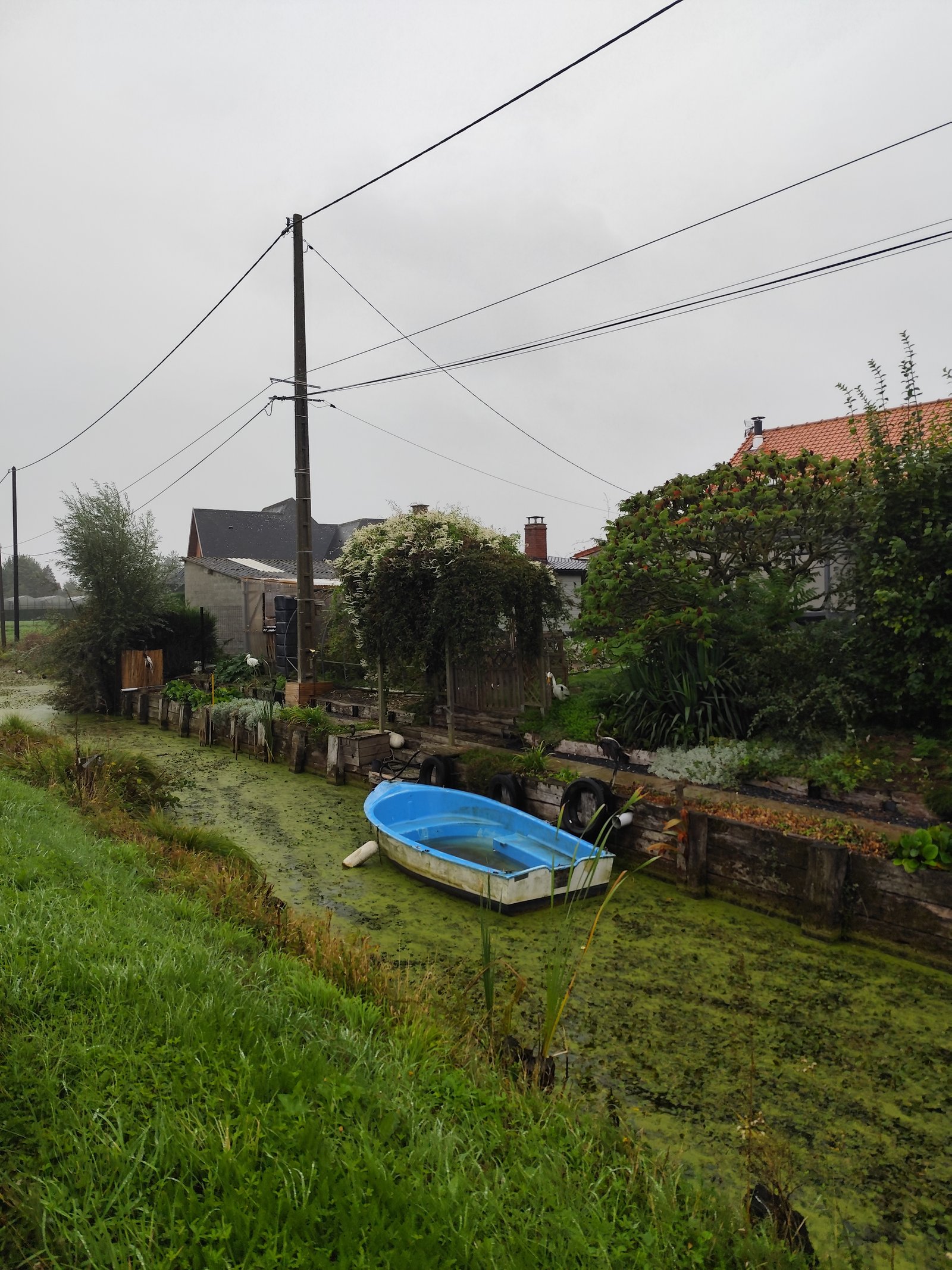 Image 20