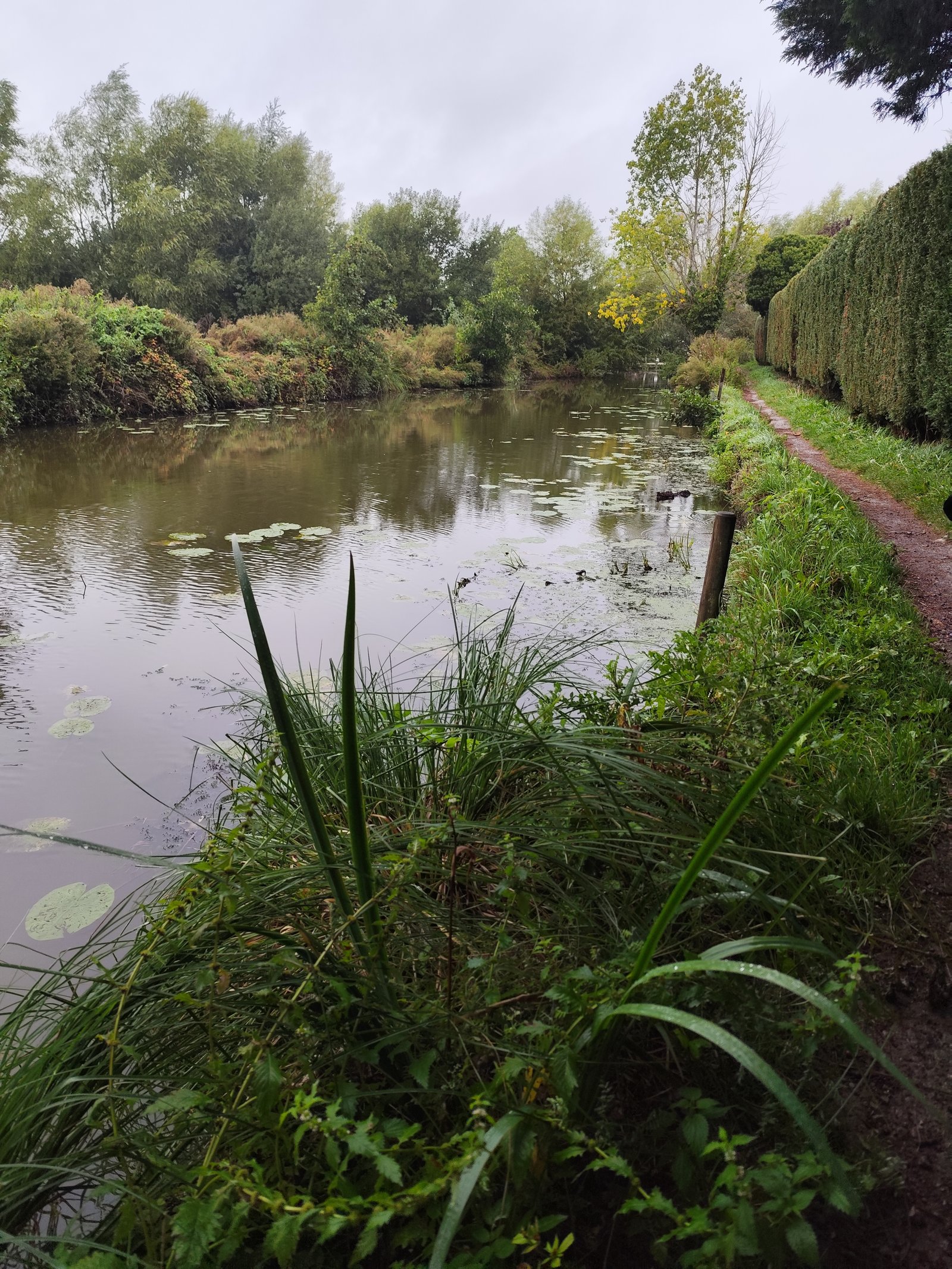 Image 49