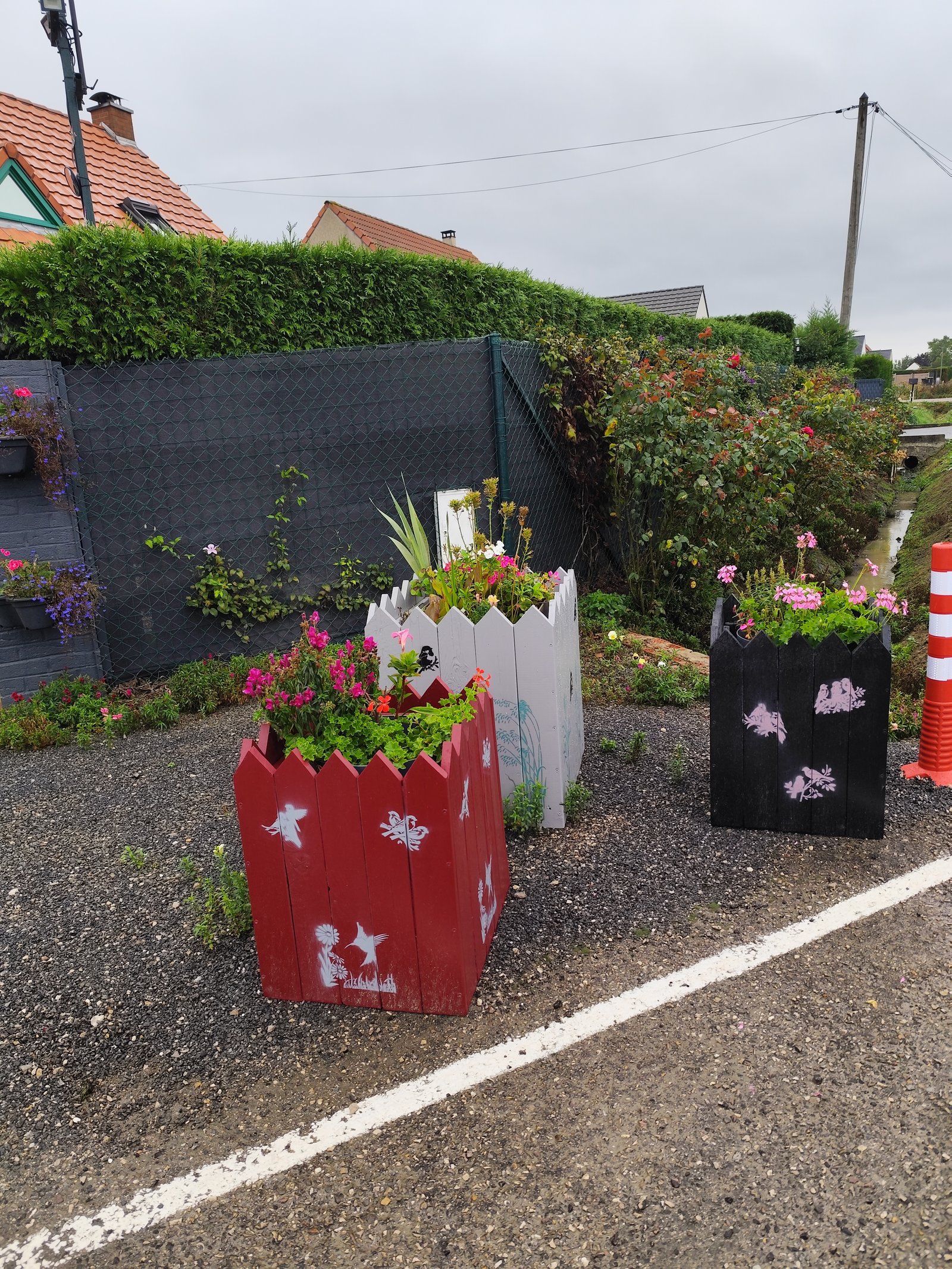 Image 105