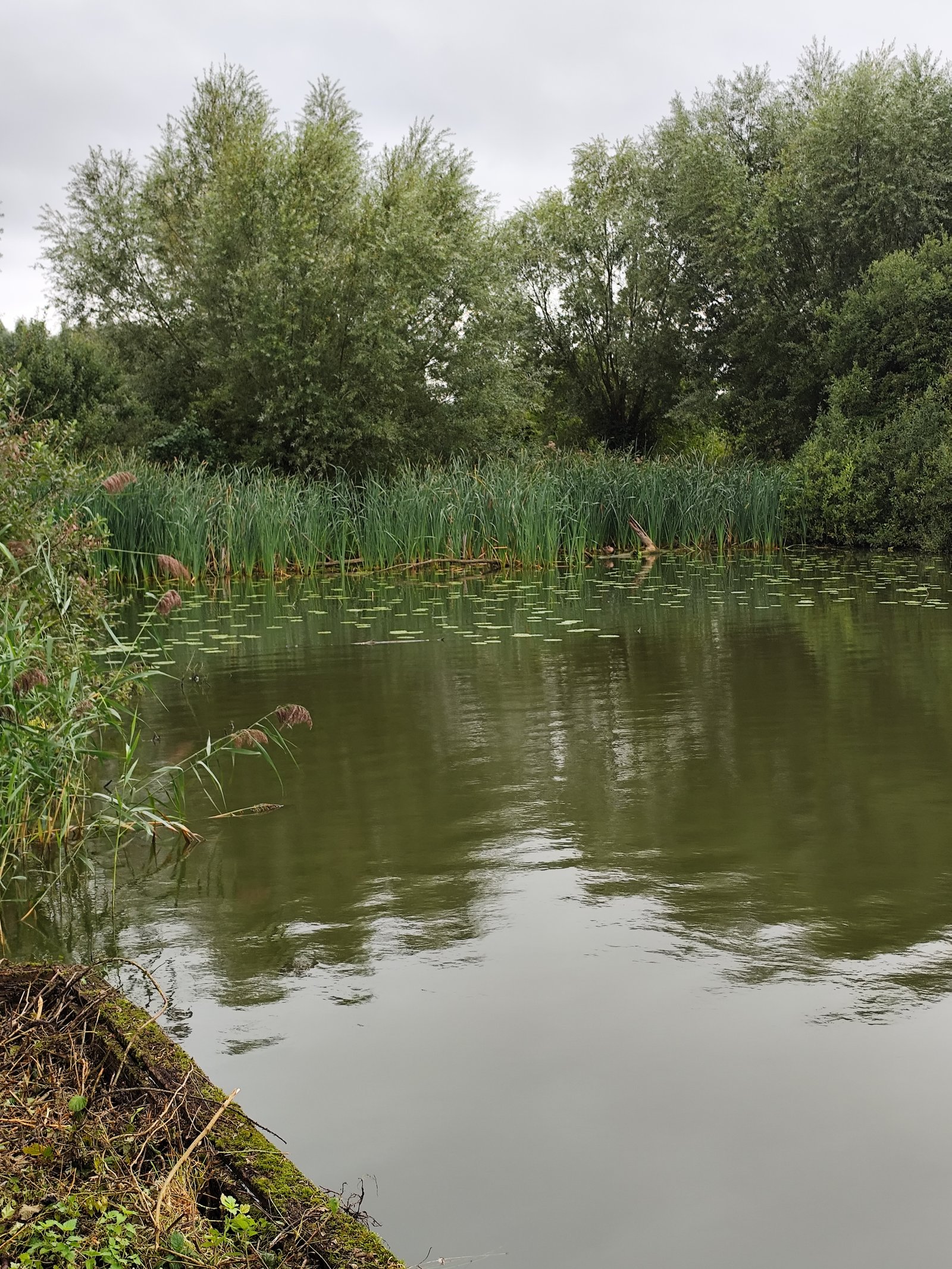 Image 180