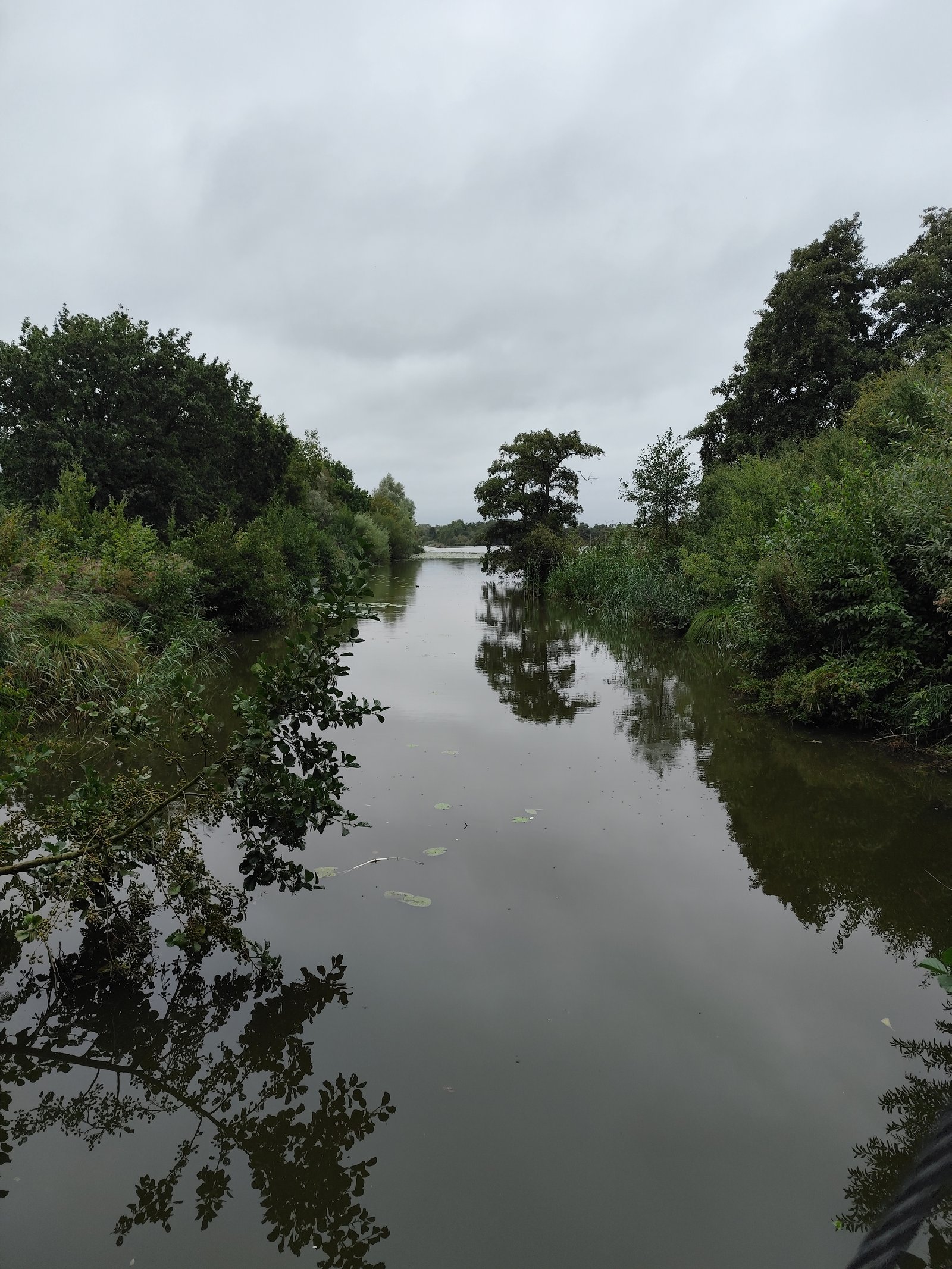 Image 95
