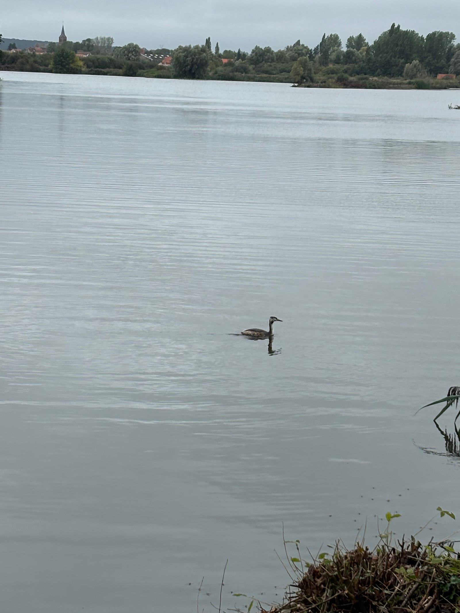 Image 73