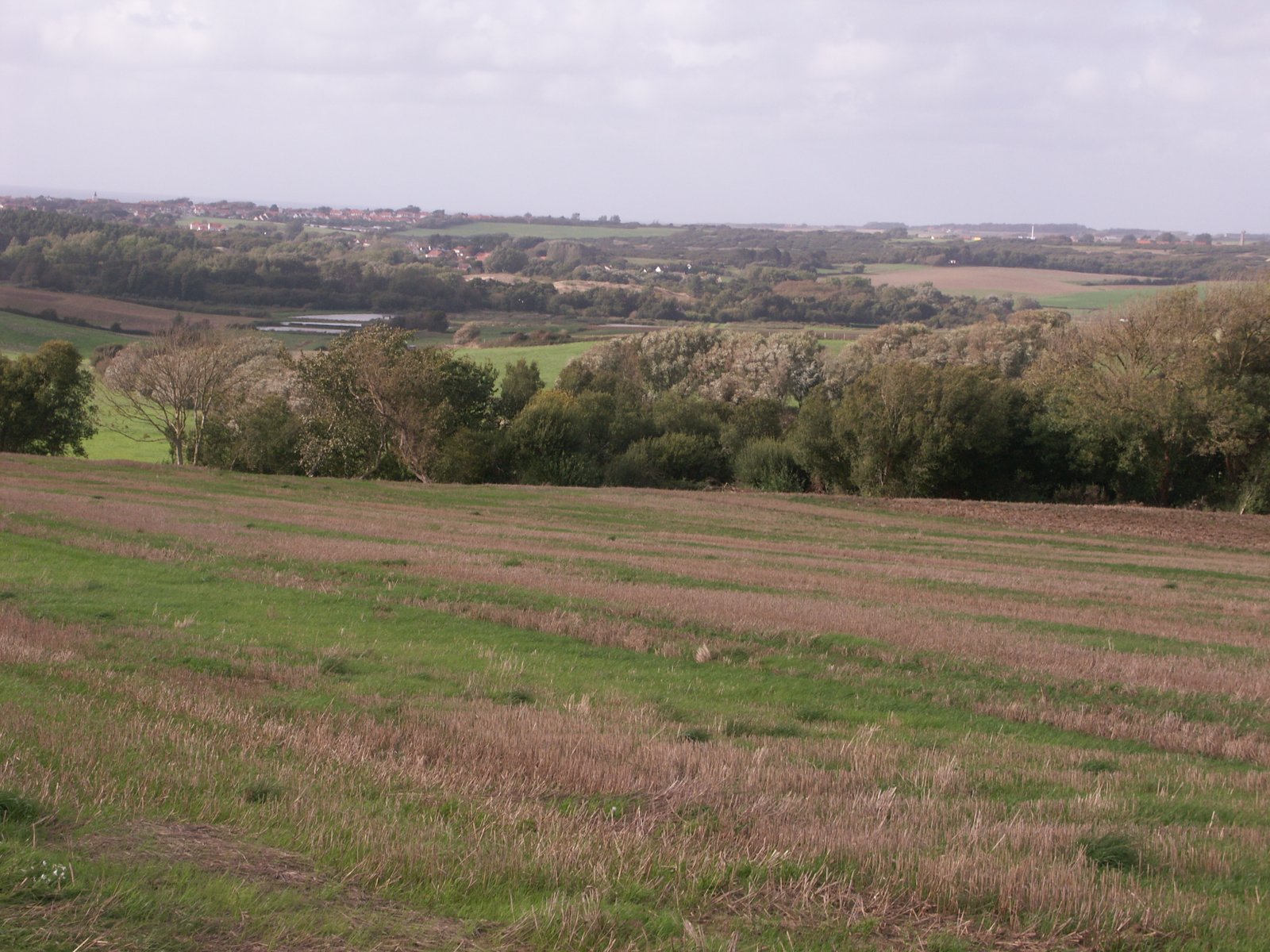 Image 21