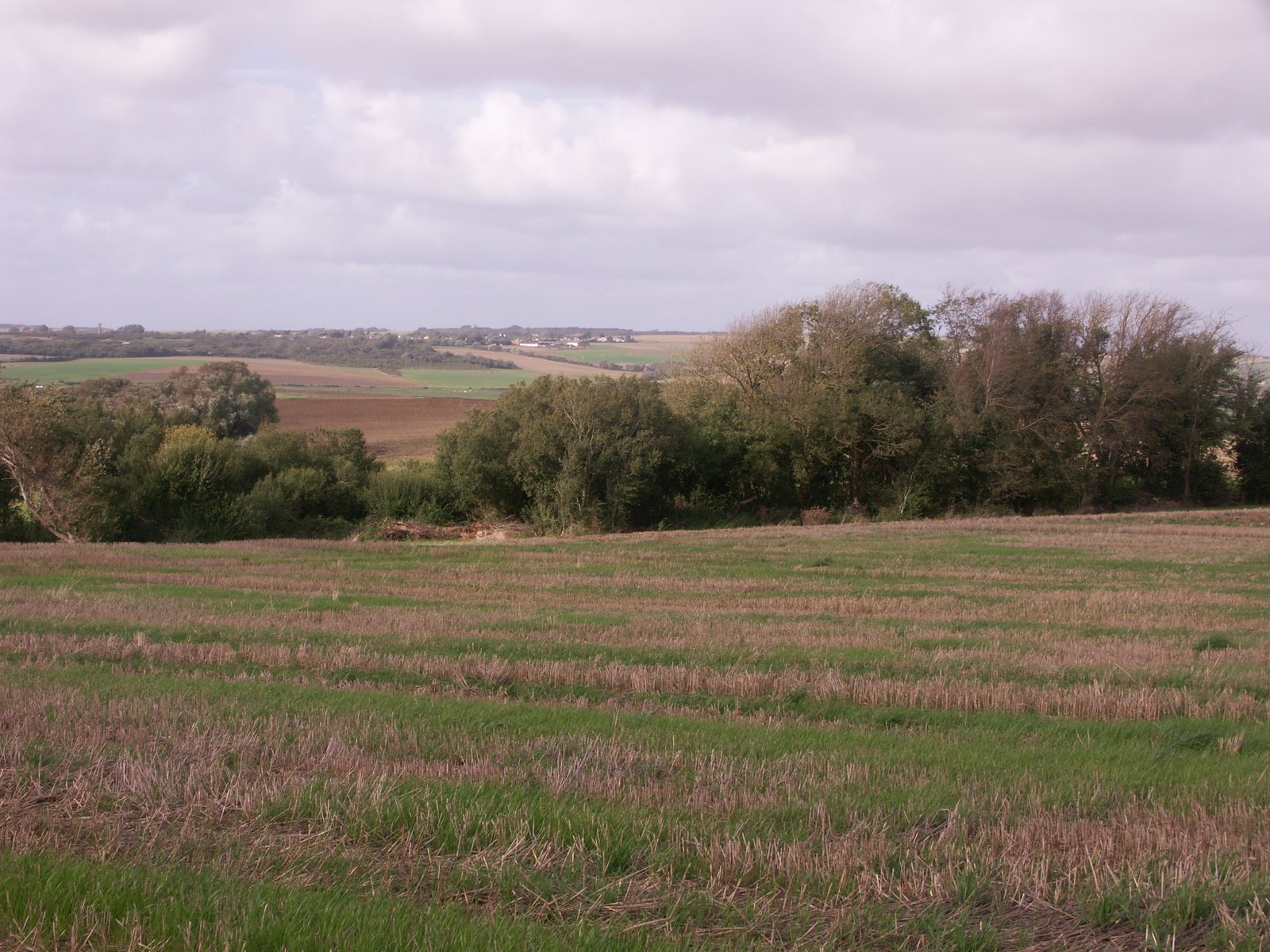 Image 54