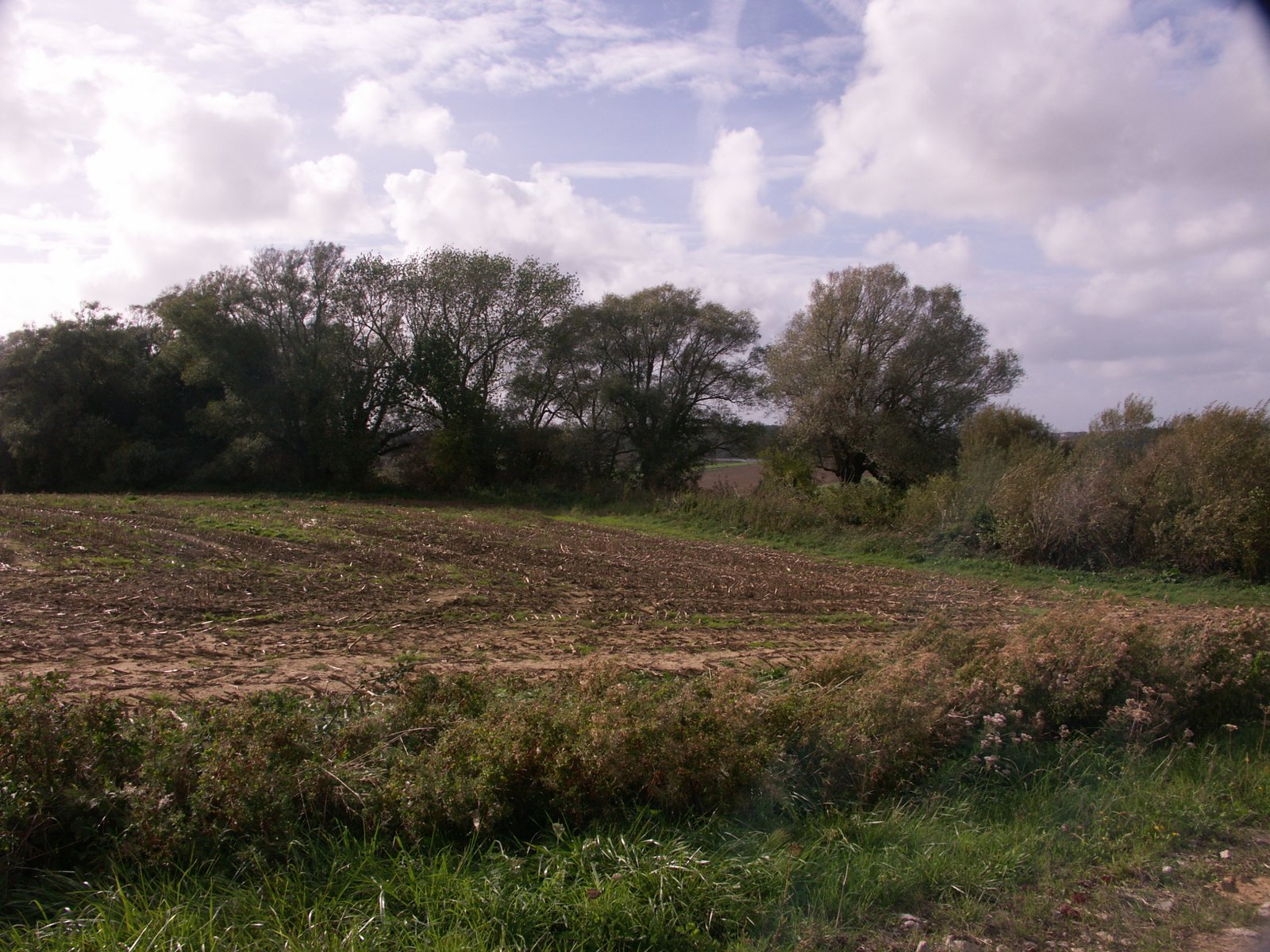 Image 81