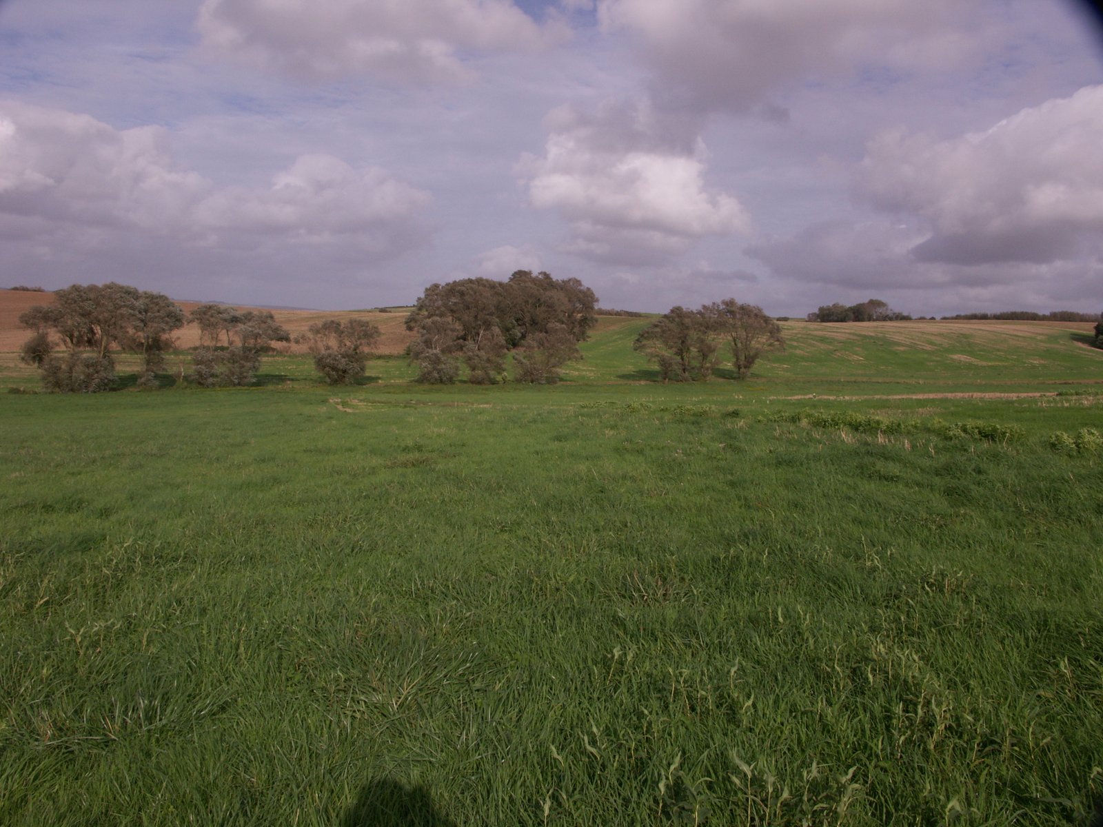 Image 176