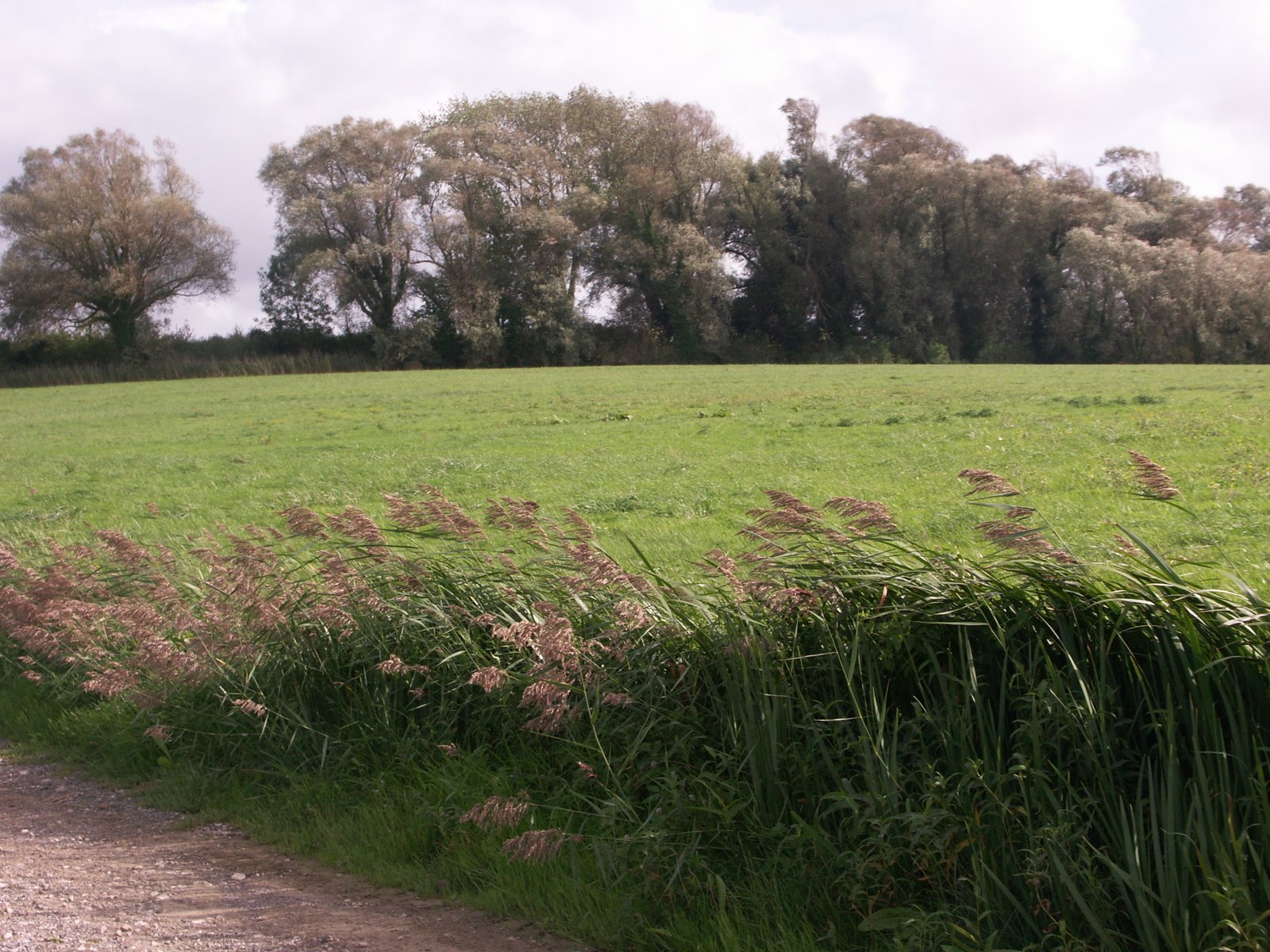 Image 26