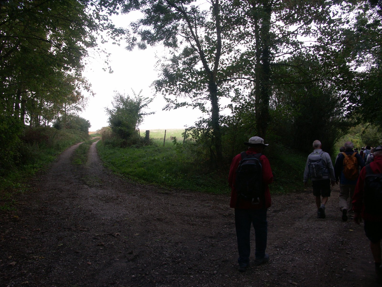 Image 201