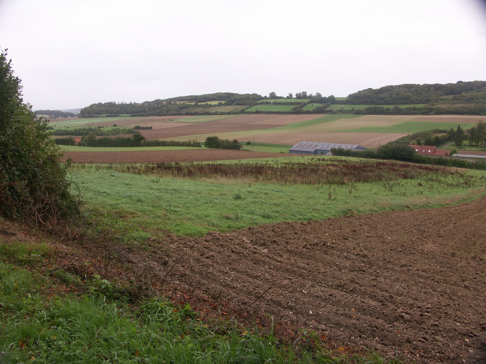 Image 154