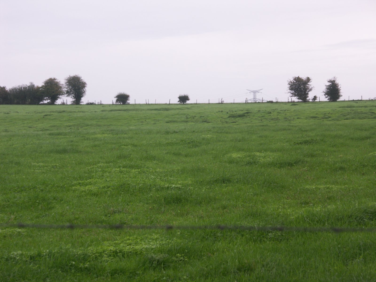 Image 100