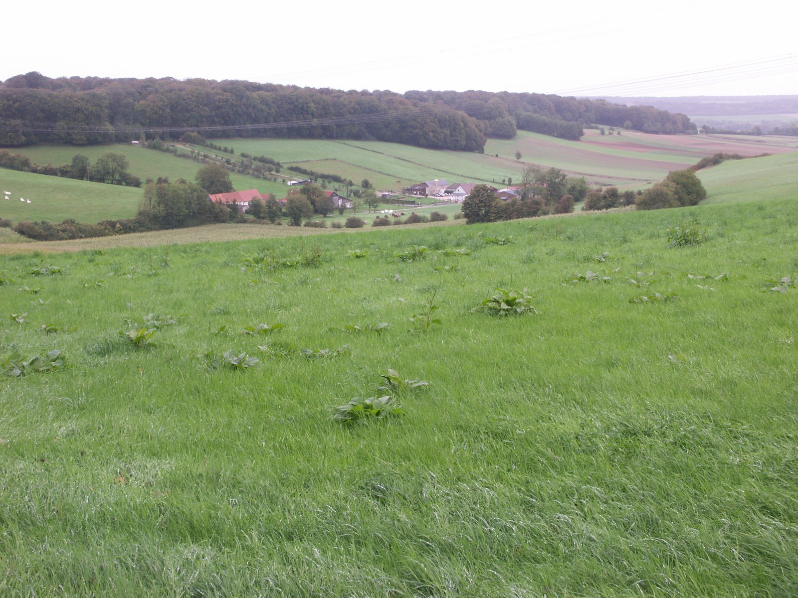 Image 108