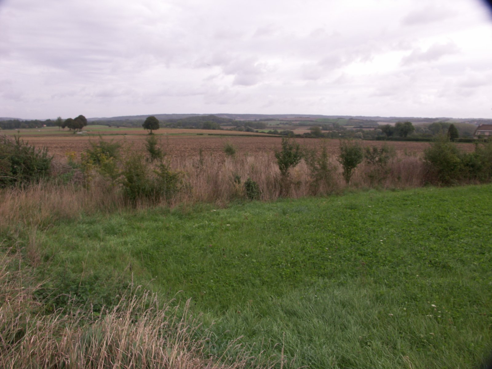 Image 129