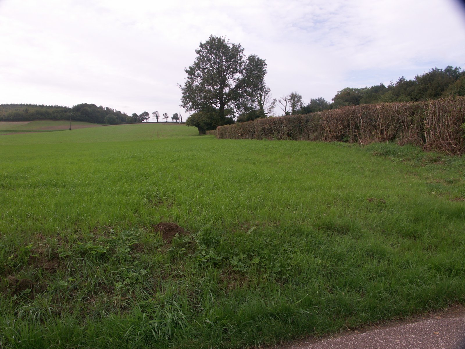 Image 182