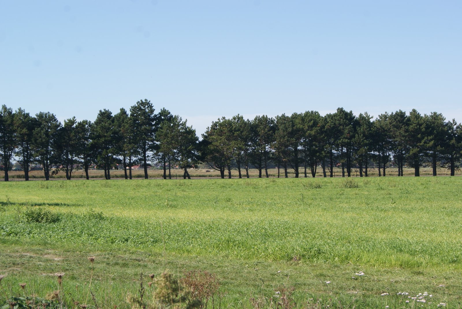 Image 62