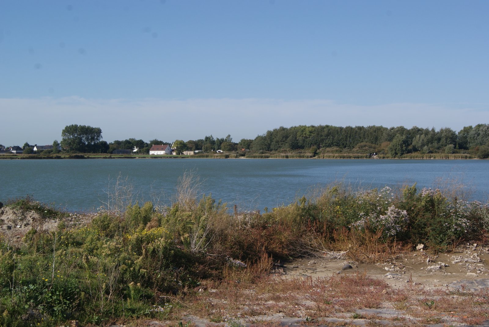 Image 45