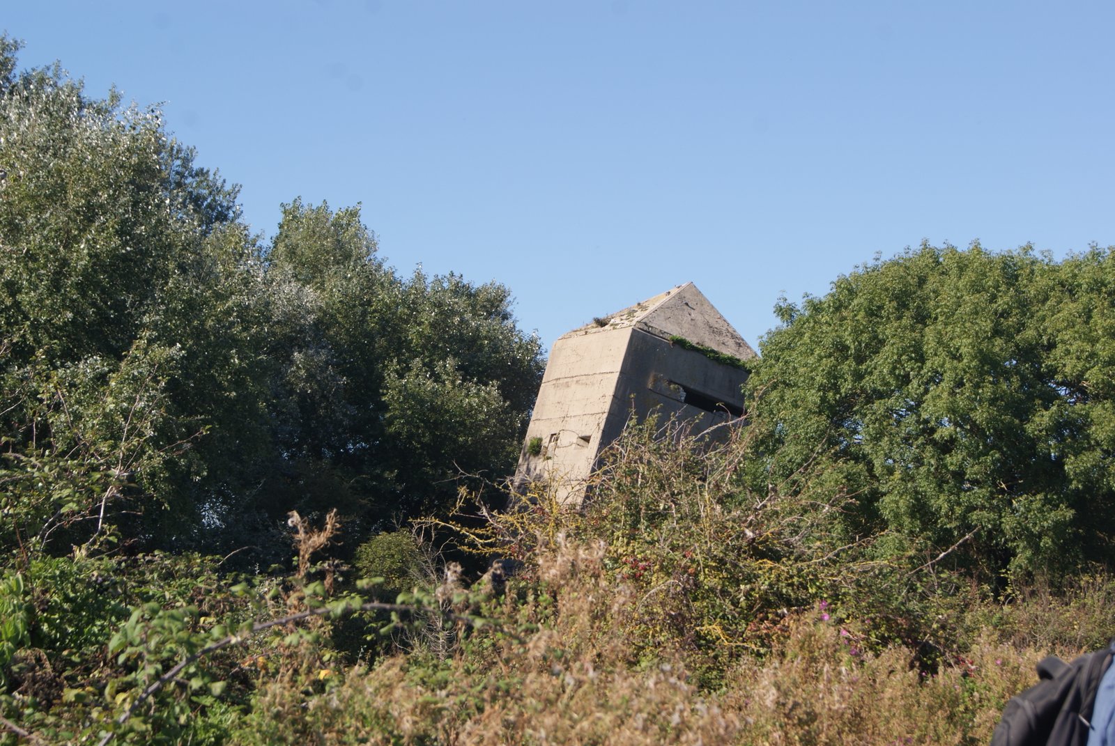 Image 50