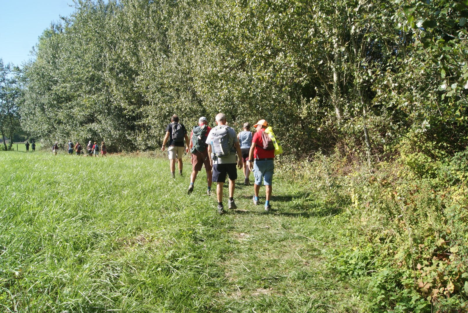 Image 80