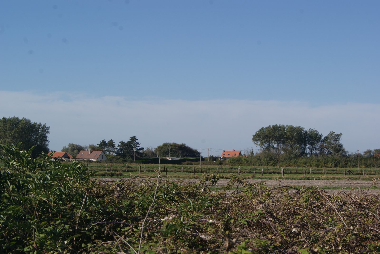 Image 35