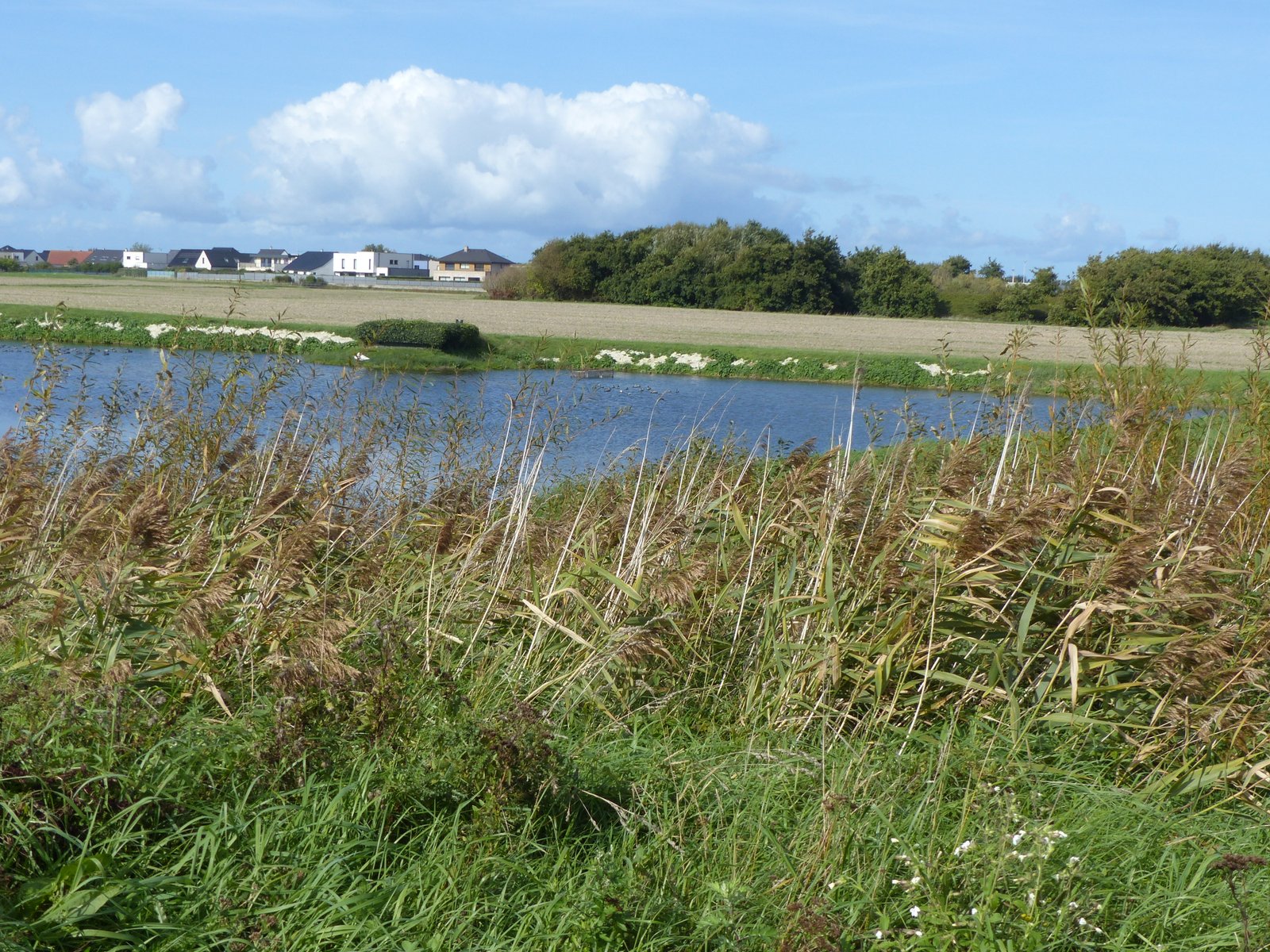 Image 17