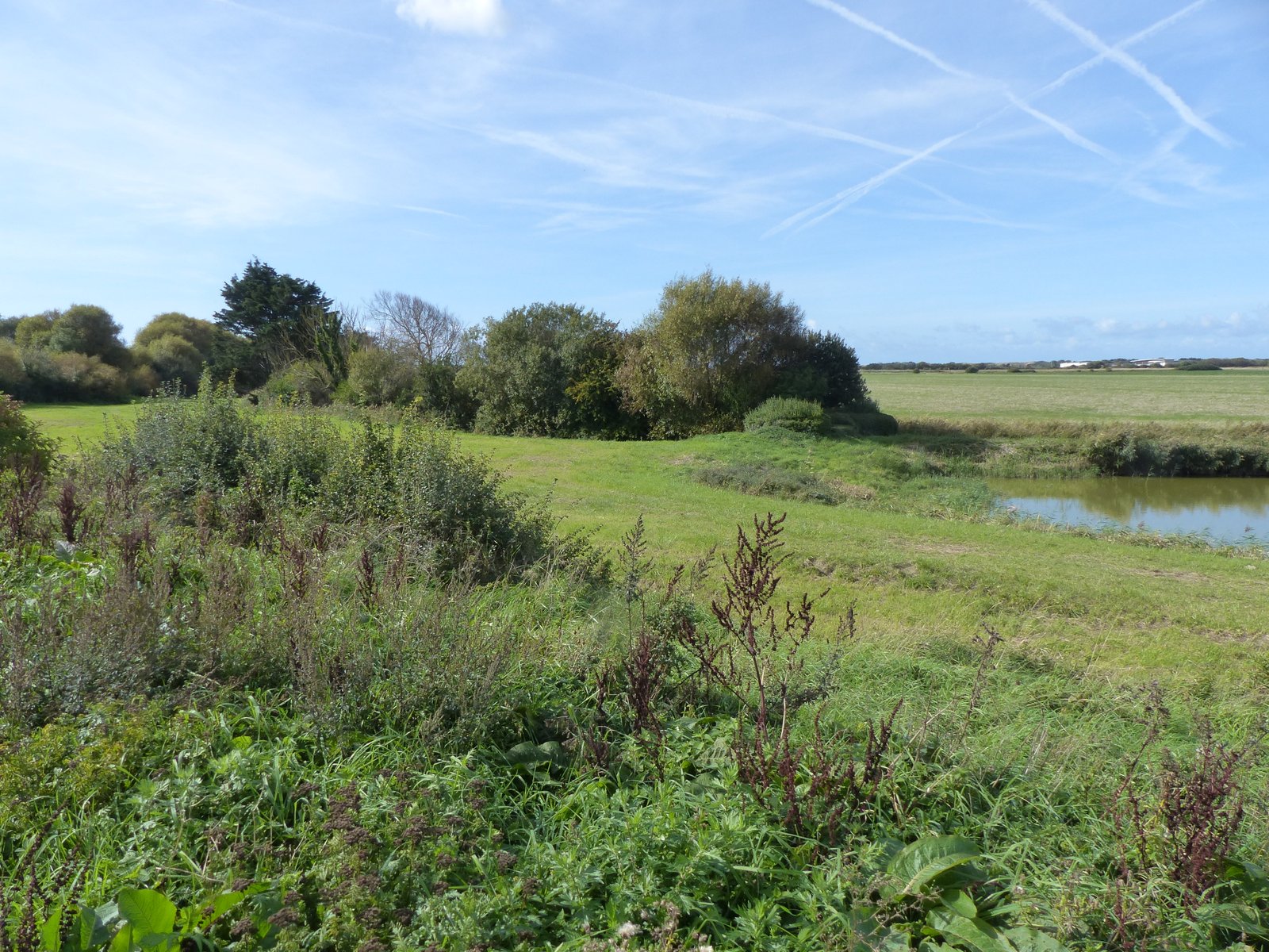 Image 113