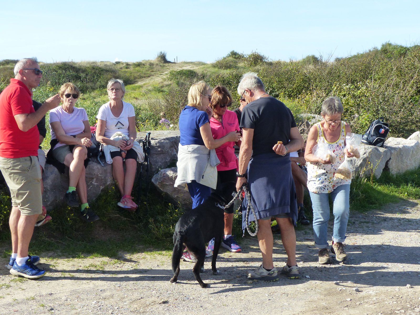 Image 134