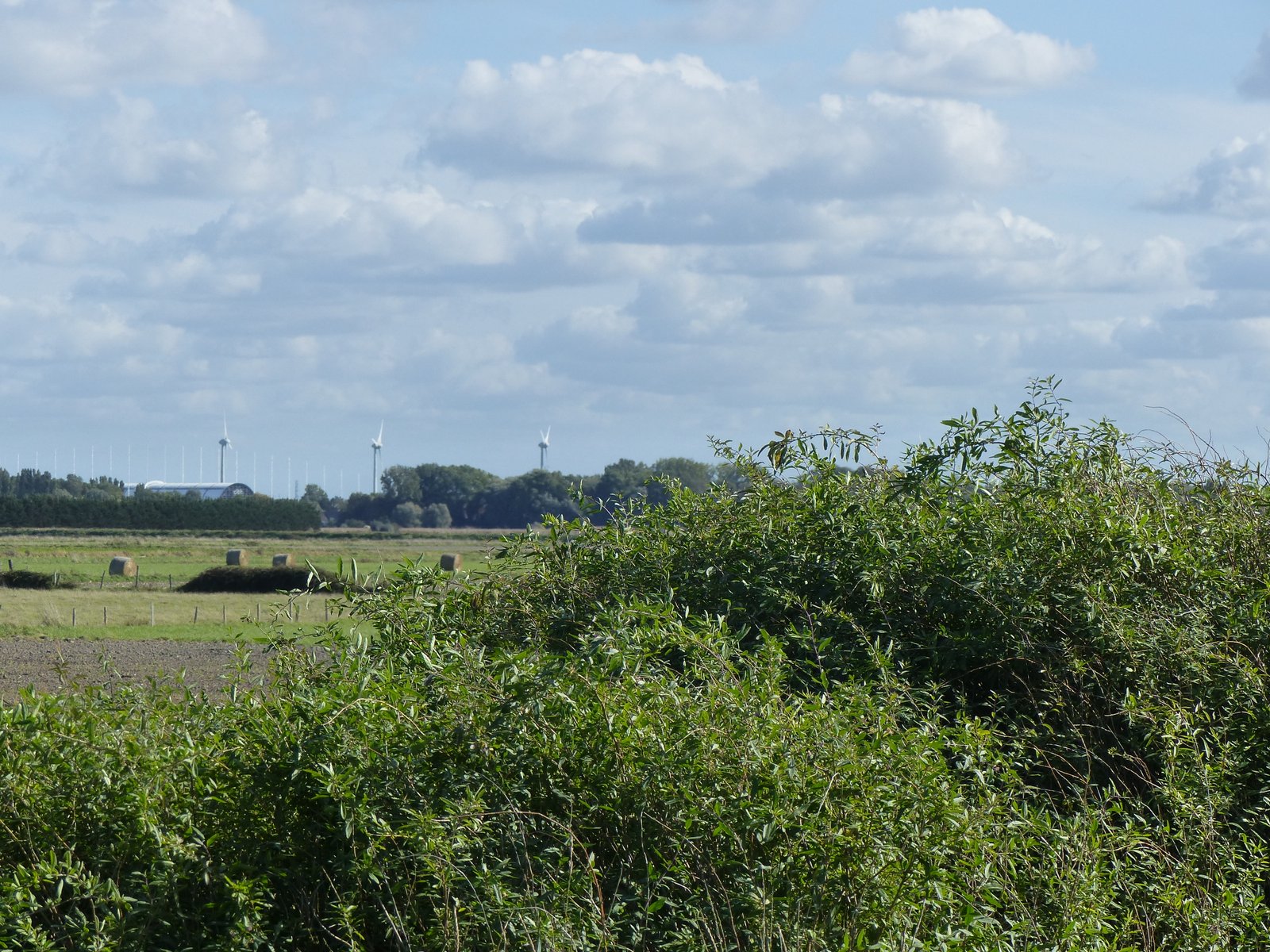 Image 18
