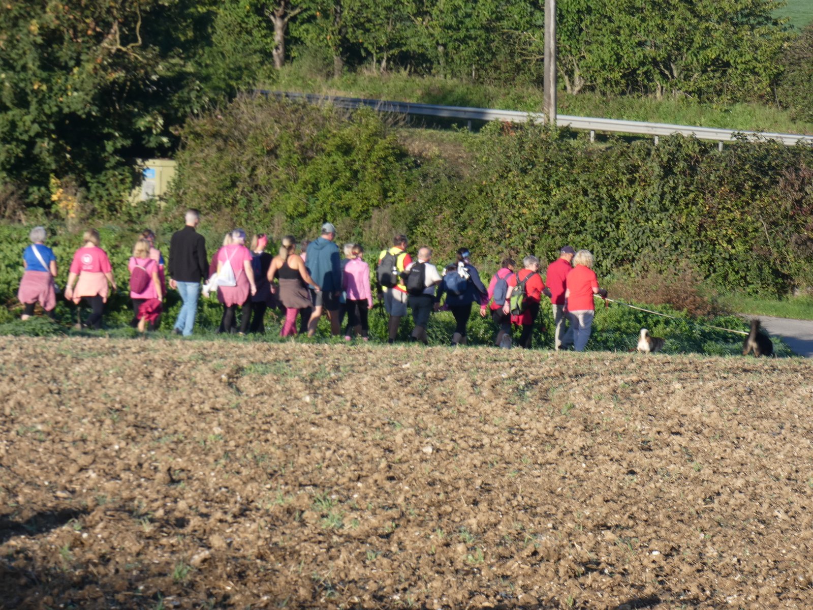 Image 87