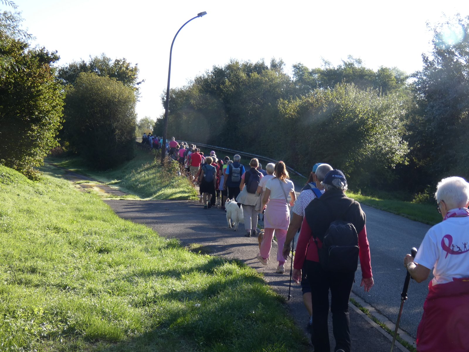 Image 23