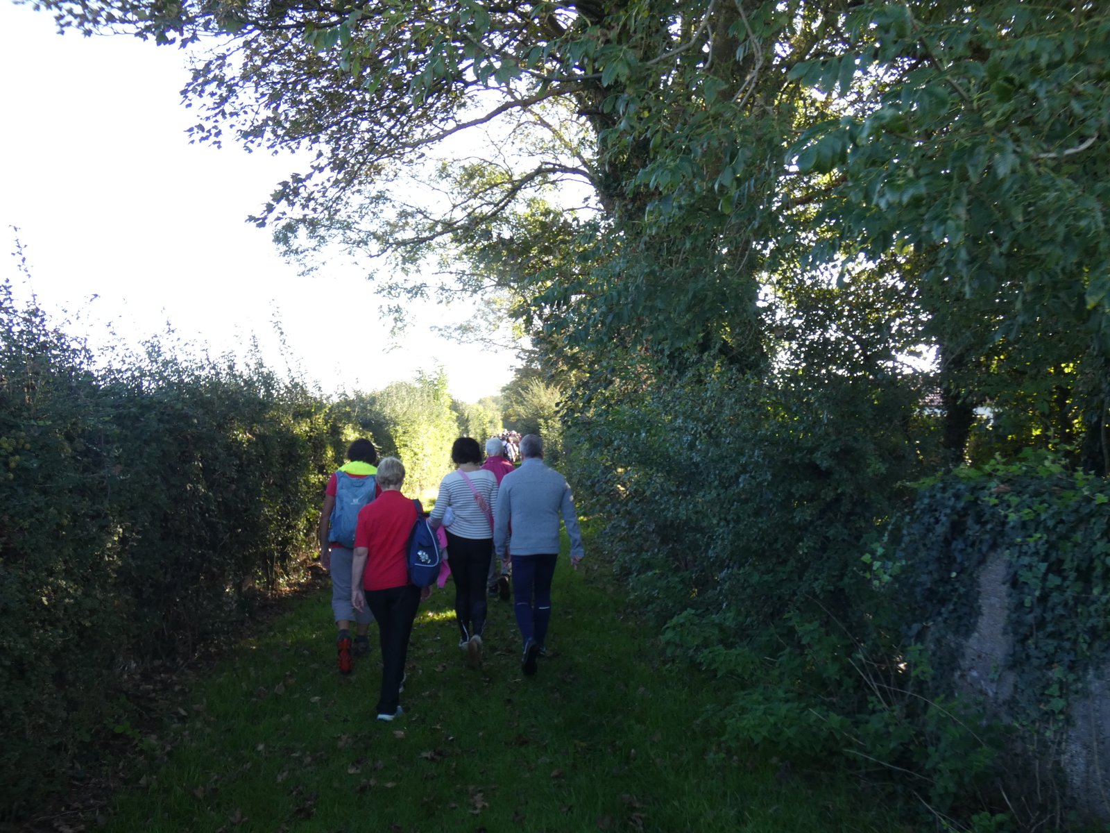 Image 28