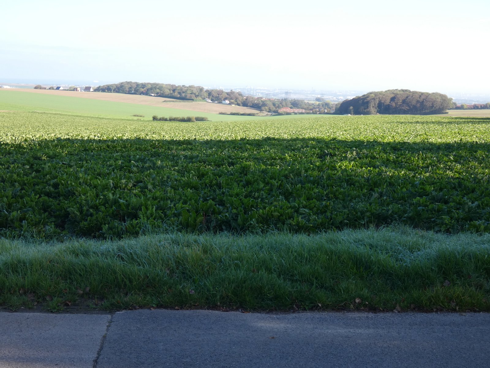 Image 65