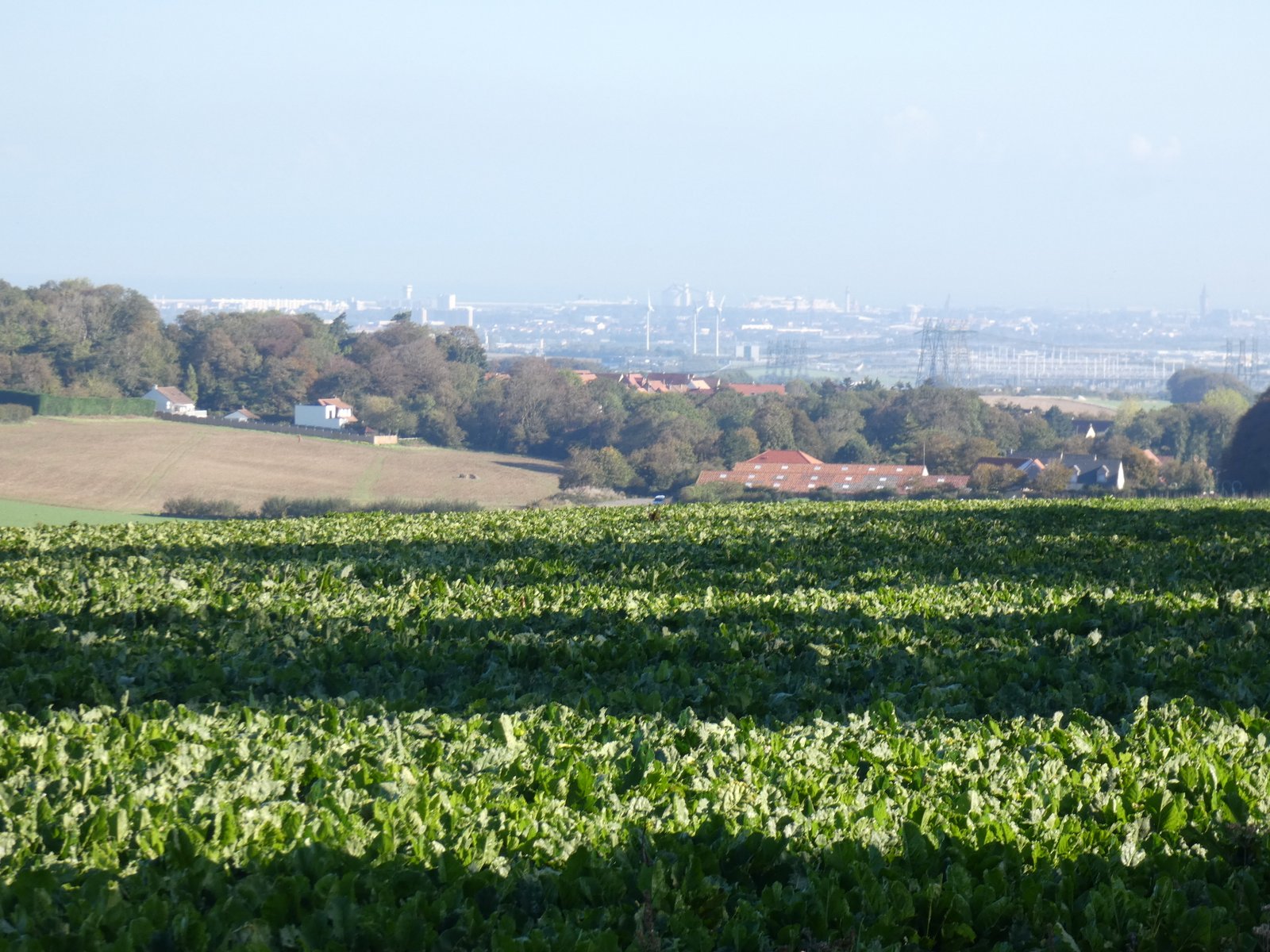 Image 12