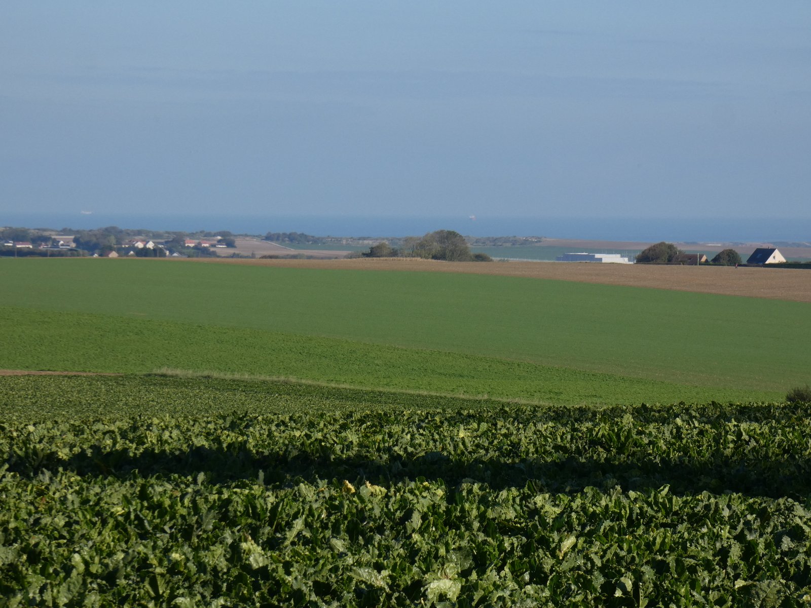 Image 89
