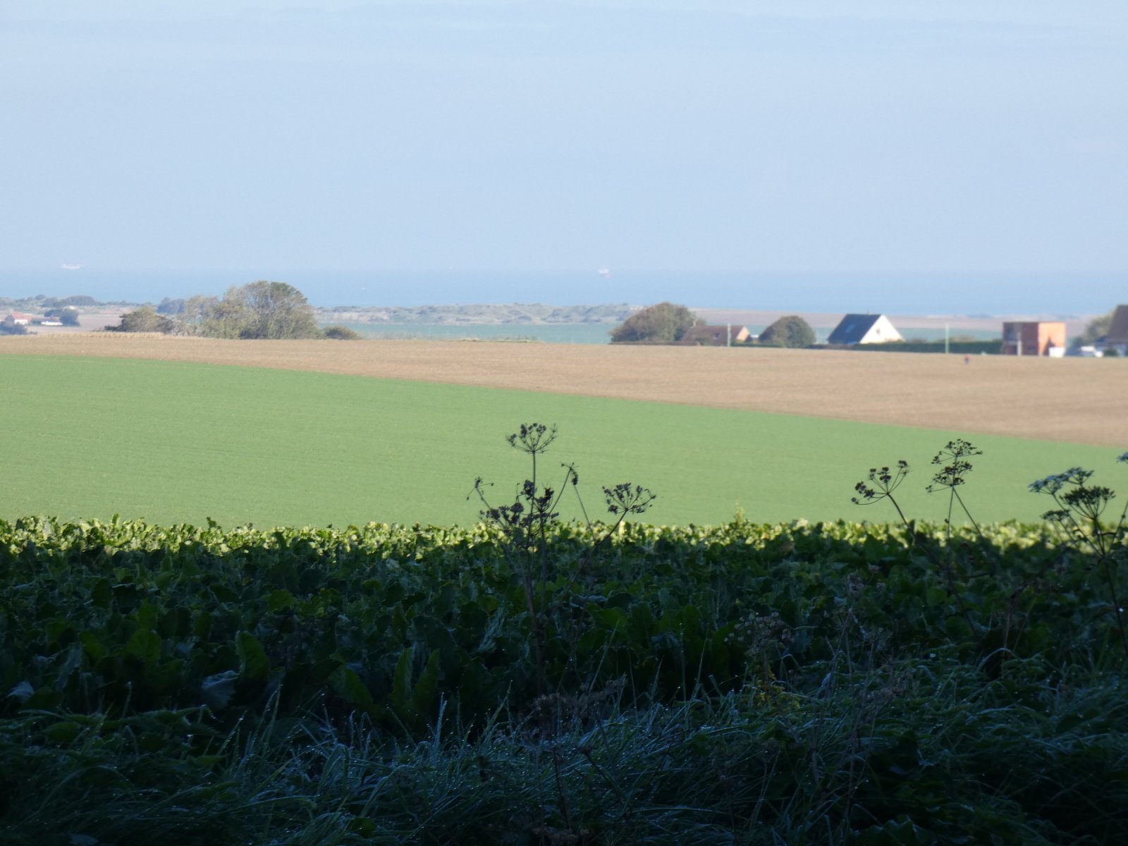 Image 88