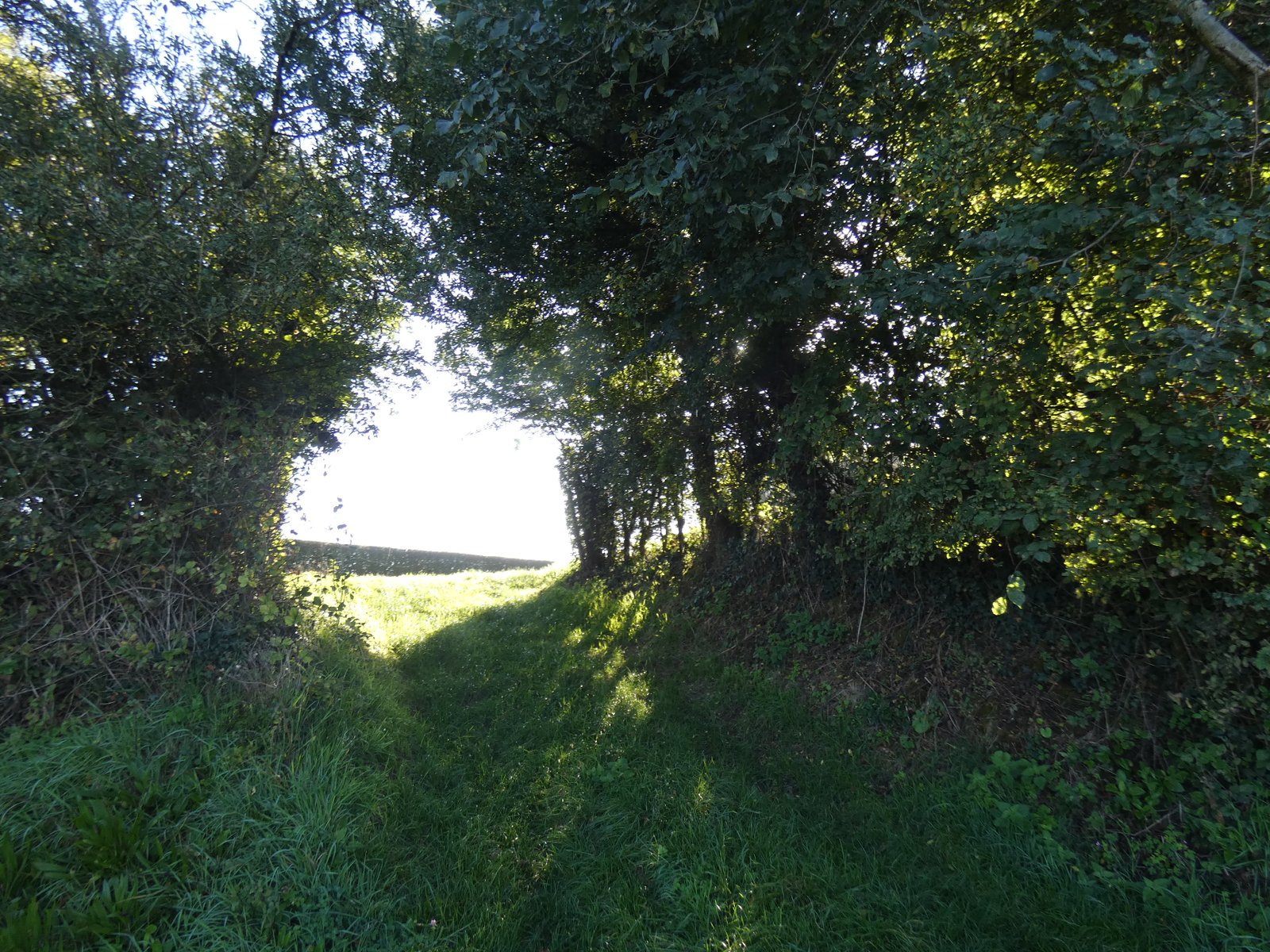 Image 66